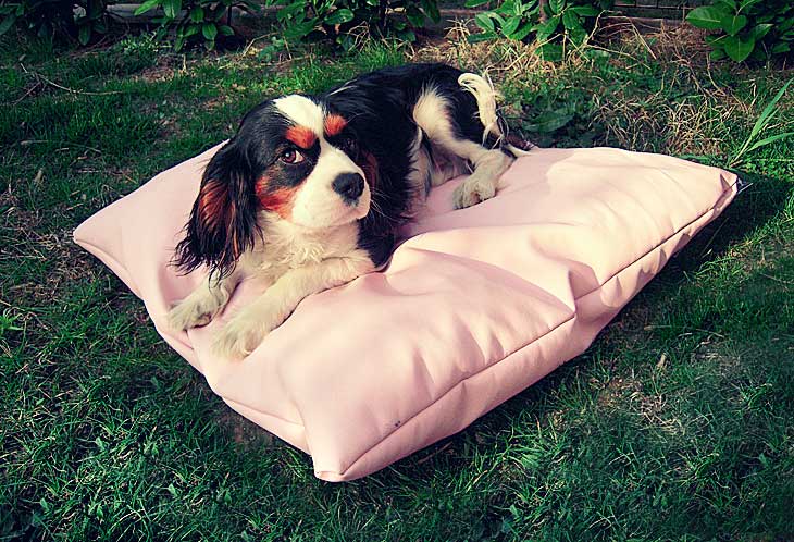 Sofa Pet in faux leather - The soft cushion for dogs and cats