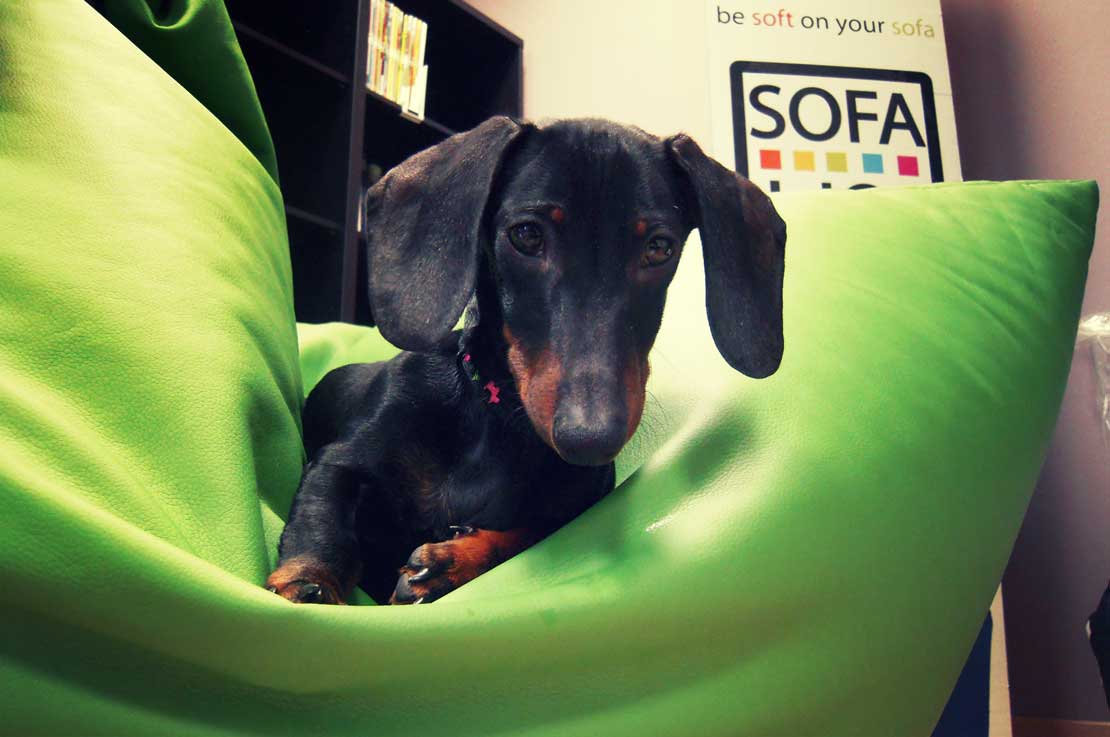 Sofa Soft Sofa Pet Ecopelle - La poltrona a sacco per piccoli animali