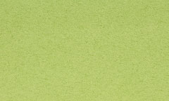 microfibra verde lucertola